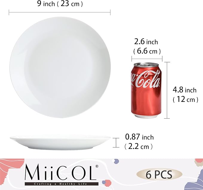 Miicol Ceramic Dinner Plates Set of 6, Modern Round Porcelain Dishes - Image 3