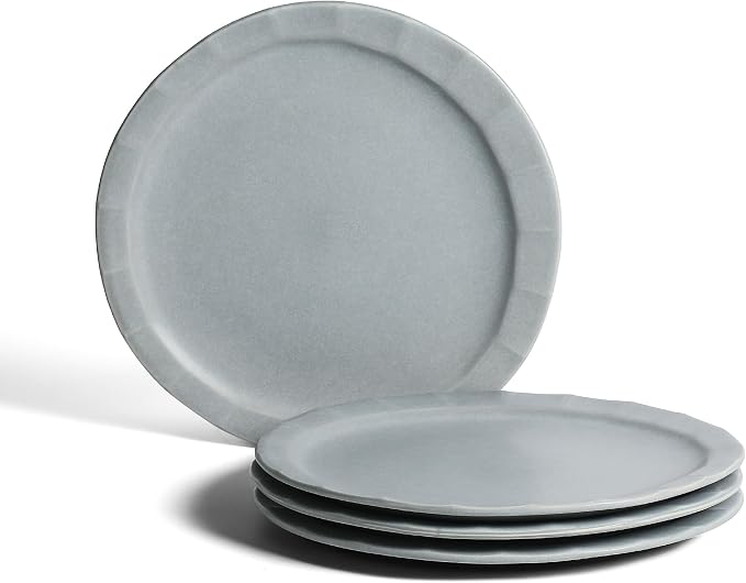 Stone Lain Oasis Stoneware Plate Dish Set, 4-Piece Dinner Plates by Unknown