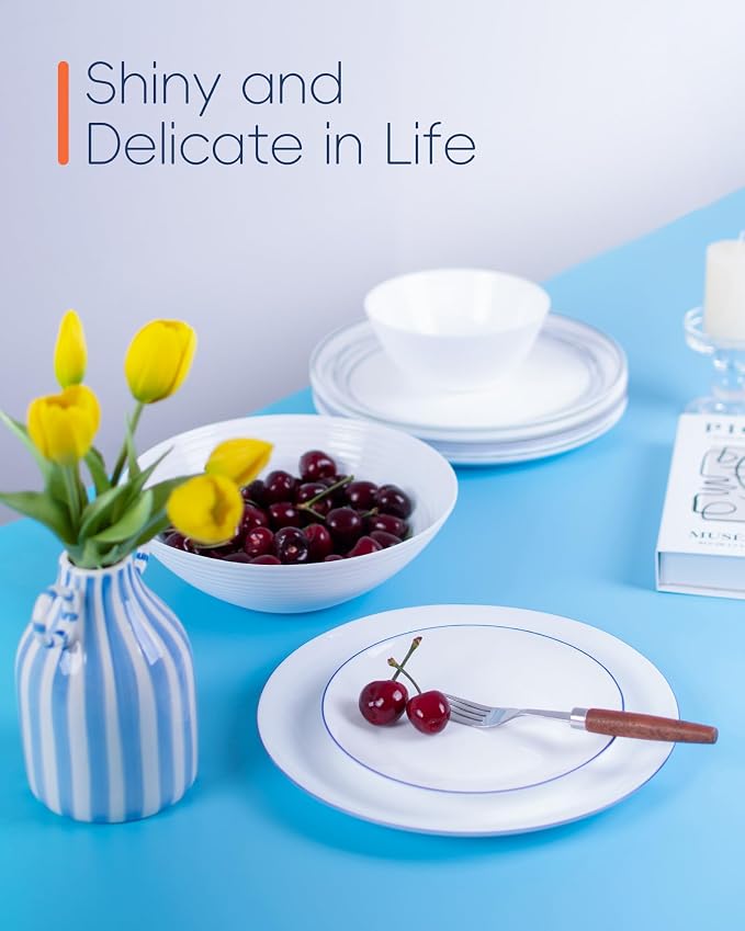 10.5 Inch Dinner Plate Set of 6, suitable - Image 8