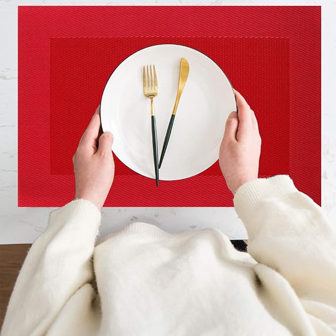 PIGCHCY Placemats Vinyl Washable Table Mats Elegant Non-Slip Placemats - Image 5