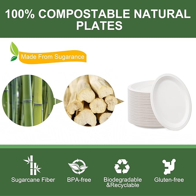 WELLIFE 100% Compostable Oval Paper Plates 12 Inch - Image 4