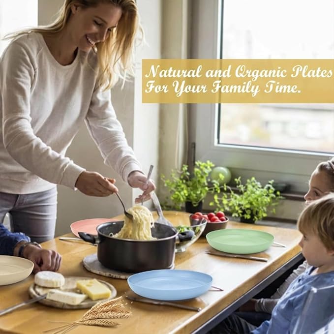 Dinner Plates Set of 8-10 Inch Wheat Straw Plates Unbreakable Kitchen Plates - Image 8