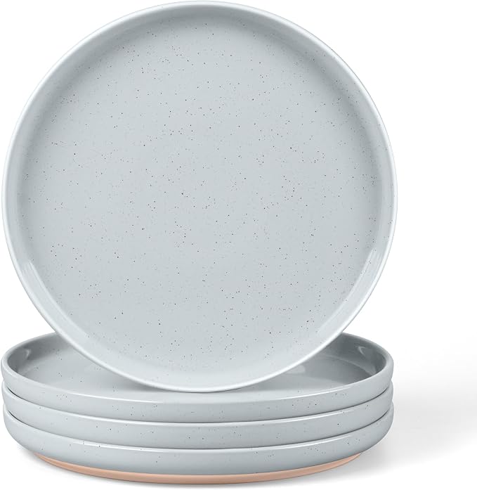 LIANYU Stoneware Dinner Plates Set of 4, 10.5’’ Large Round Ceramic Plates by LIANYU