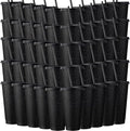Honeydak 60 Pack Tumbler with Straw and Lid Bulk Cups by Honeydak