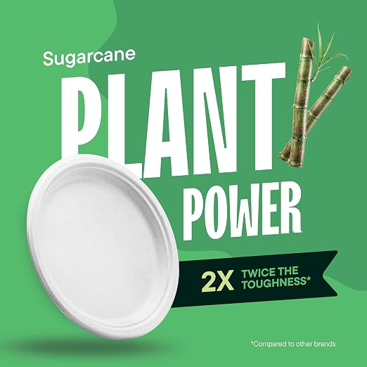 100% Compostable Disposable Paper Plates - Image 4