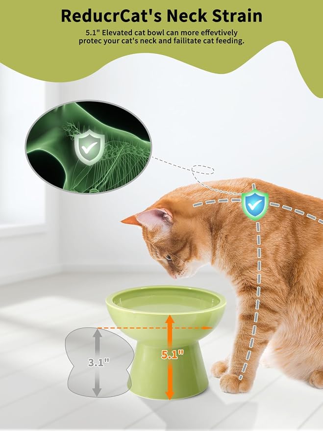 LoeJan Elevated Food and Water Bowls Set, Extra Wide and Raised Ceramic Feeder - Image 3
