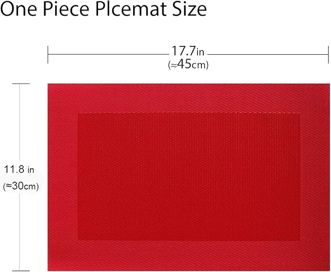 PIGCHCY Placemats Vinyl Washable Table Mats Elegant Non-Slip Placemats - Image 2