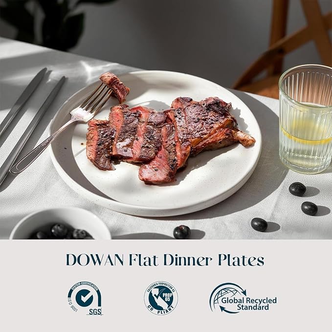 DOWAN 10.5" Large Dinner Plates Set of 6, High Edge Ceramic Plate - Image 2