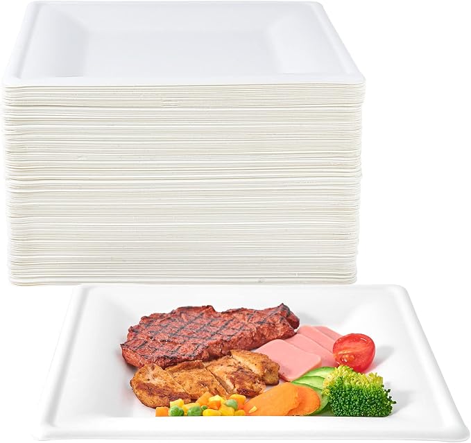 150 Piecs Compostable Square Paper Plates, 10 inch by ECOLipak