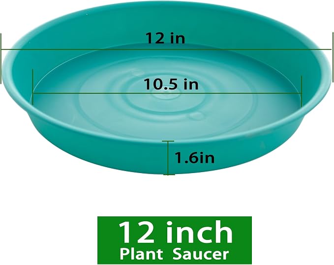 6 Pack of 12 inch Plant Saucer, Heavy Duty Plastic Plant Saucer 12" Round - Image 2