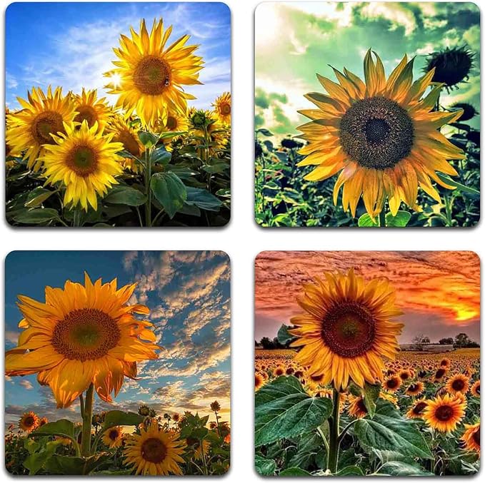 Sunflowers Square Coaster Set by QJ+CMJ