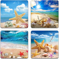 Beach Shells Square Coaster Set by QJ+CMJ