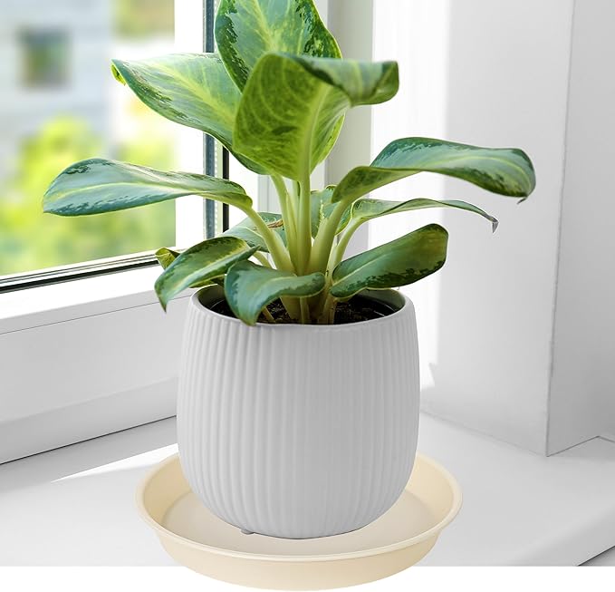 2 Pack of 14 inch Plant Saucers Bird Bath Bow Round, Plastic Plant Saucer Tray - Image 4