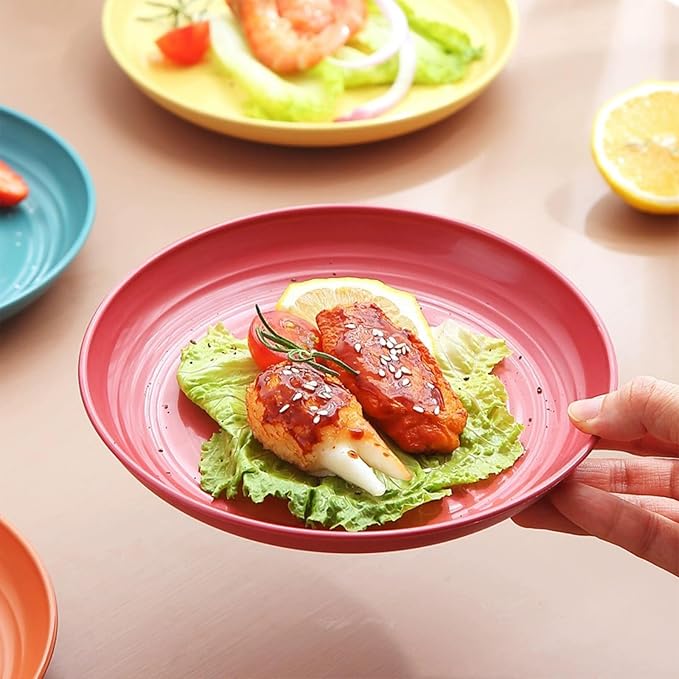 5Pcs Dinner Plates Wheats Straw Plates Set Unbreakable Reusable, Lightweight - Image 4