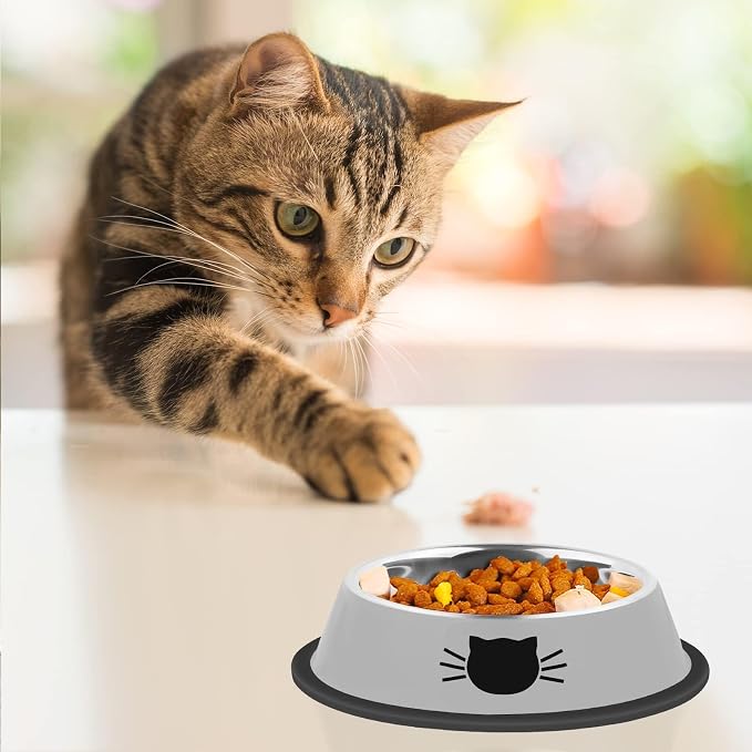 Serentive 2 Pcs Non-Slip Stainless Steel Small Cat Food Bowls - Image 6