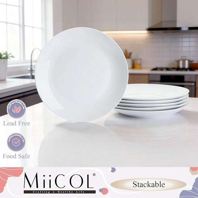 Miicol Ceramic Dinner Plates Set of 6, Modern Round Porcelain Dishes - Image 6