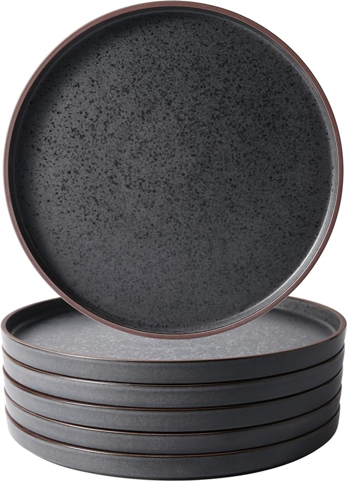 LERATIO Dinner Plates, Ceramic Dinner Plates Set of 6, 10.75 inch Large ceramic by LeRatio
