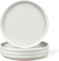 LIANYU Dinner Plates Set of 4, 10.5 Inch Stoneware Plate by LIANYU