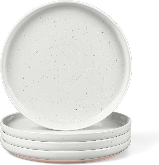 LIANYU Dinner Plates Set of 4, 10.5 Inch Stoneware Plate by LIANYU
