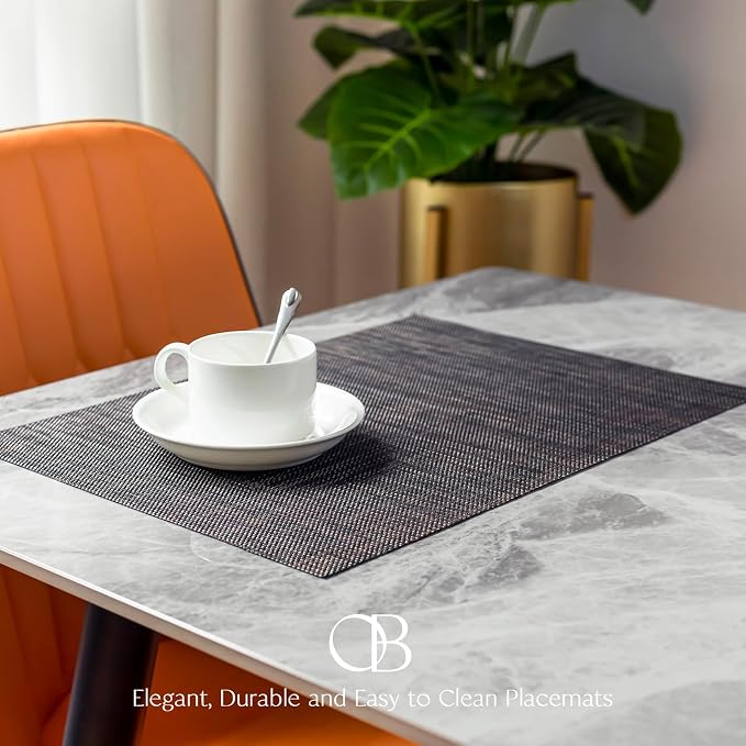 Placemats Set of 12 - Image 3