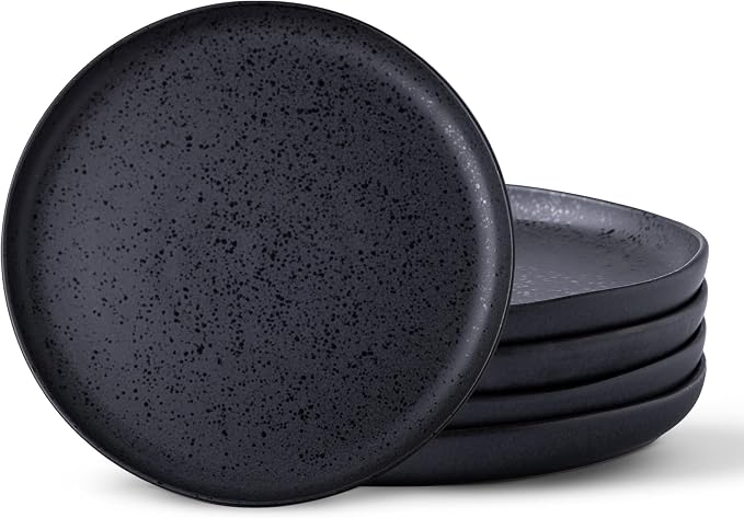 AmorArc Ceramic Dinner Plates Set of 6, 10.25 Inch Stoneware Dishes Set | Wavy by AmorArc