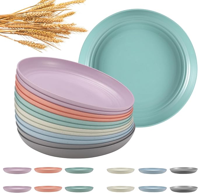 HEYCOME 12 Pcs Unbreakable Deep Dinner Plates Set, 9 inch Reusable Plastic by StayHealthyStayHappy
