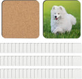 60 Pcs Sublimation Coasters Blanks, 3.93 x 3.93 Inch, MDF Cork | Sublimation by Guiqulai