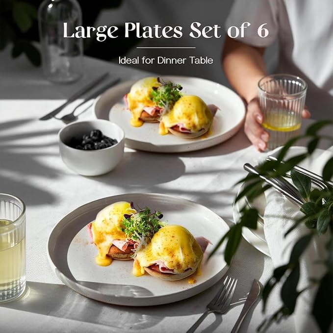 DOWAN 10.5" Large Dinner Plates Set of 6, High Edge Ceramic Plate - Image 3