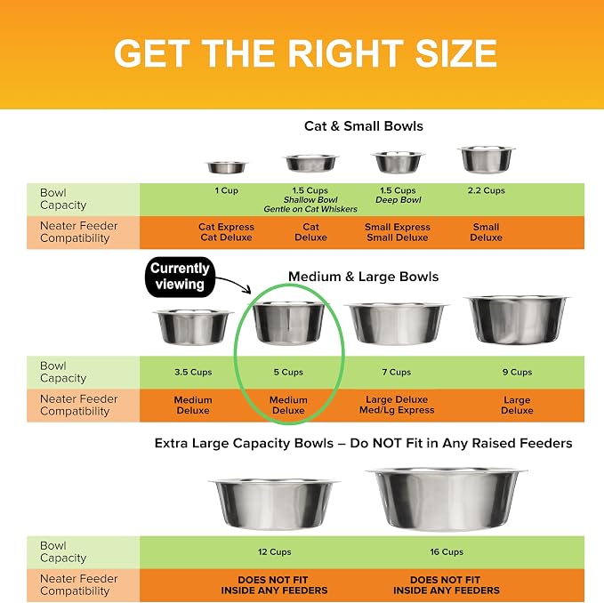 Neater Pet Brands 5 Cup Stainless Steel Dog Bowls, Dog Food Bowl & Water Bowl - Image 7