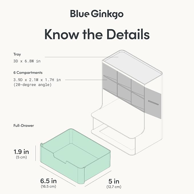 BLUE GINKGO Hive Pen Desk Organizer, Made in Kore | 6 Compartments. Full - Image 4