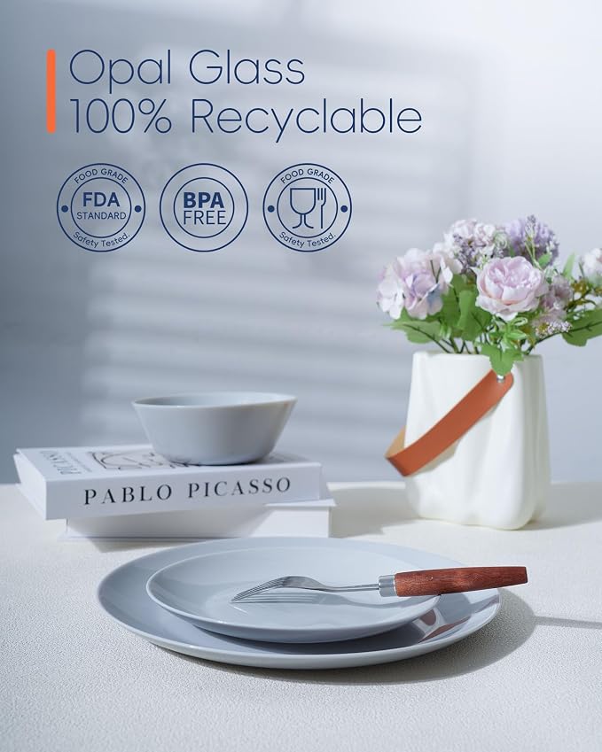 10.5 Inch Dinner Plate Set of 6, suitable - Image 6