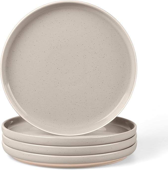 LIANYU Stoneware Dinner Plates Set of 4, 10.5 Inch Porcelain Kitchen Plates by LIANYU