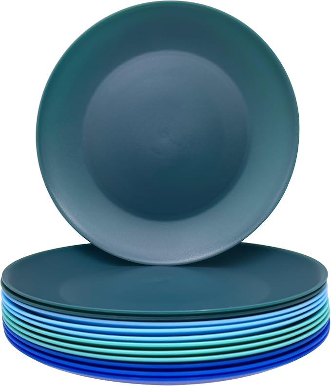 AOYITE 10 inch Plastic Plates Reusable Set 12, BPA Free Kids Plate Ocean | Food by AOYITE