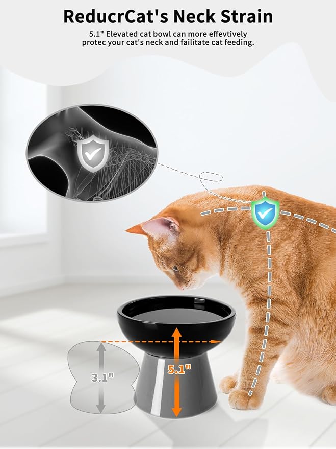 LoeJan Elevated Cat Food and Water Bowls Set, Extra Wide and Raised Ceramic - Image 3