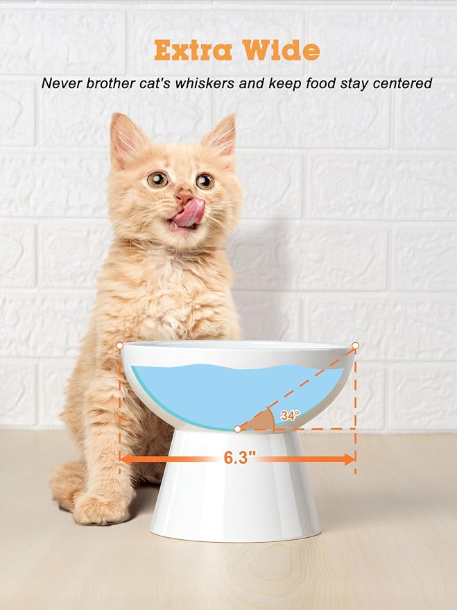 LoeJan Elevated Cat Food and Water Bowls Set, Extra Wide and Raised Ceramic - Image 6
