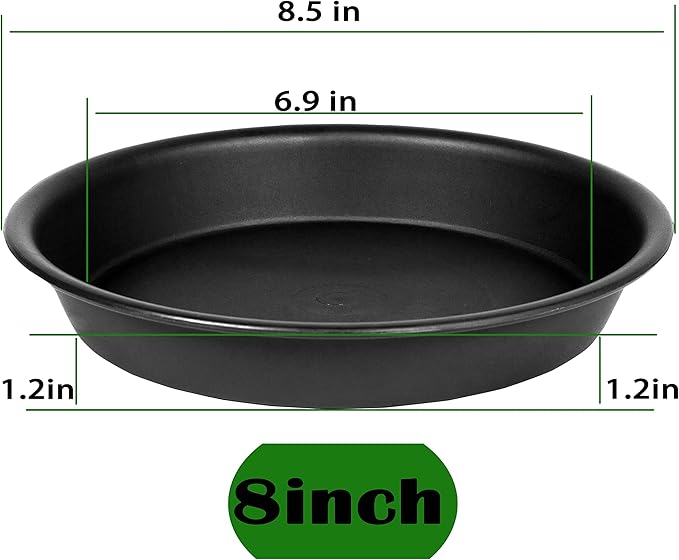 6 Pack of 8 inch Plant Saucer, Heavy Duty Plastic Plant Water Tray, Pebble Tray - Image 2