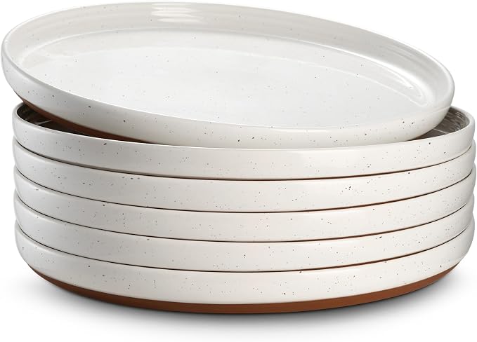 DOWAN 10.5" Large Dinner Plates Set of 6, High Edge Ceramic Plate by DOWAN