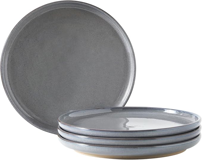 Ceramic Dinner Plates Set of 4, Stoneware 8 Inch, Dishwasher and Oven Safe by Tikooere
