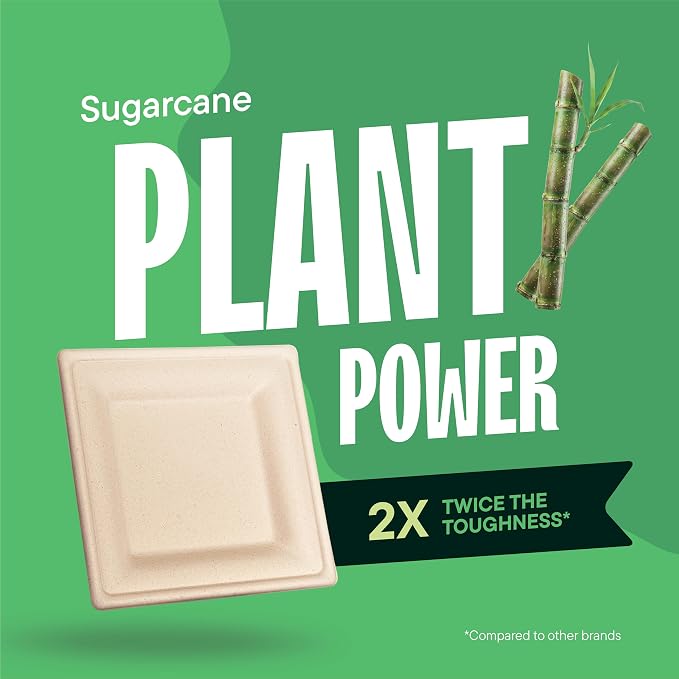 100% Compostable Square Paper Plates - Image 5