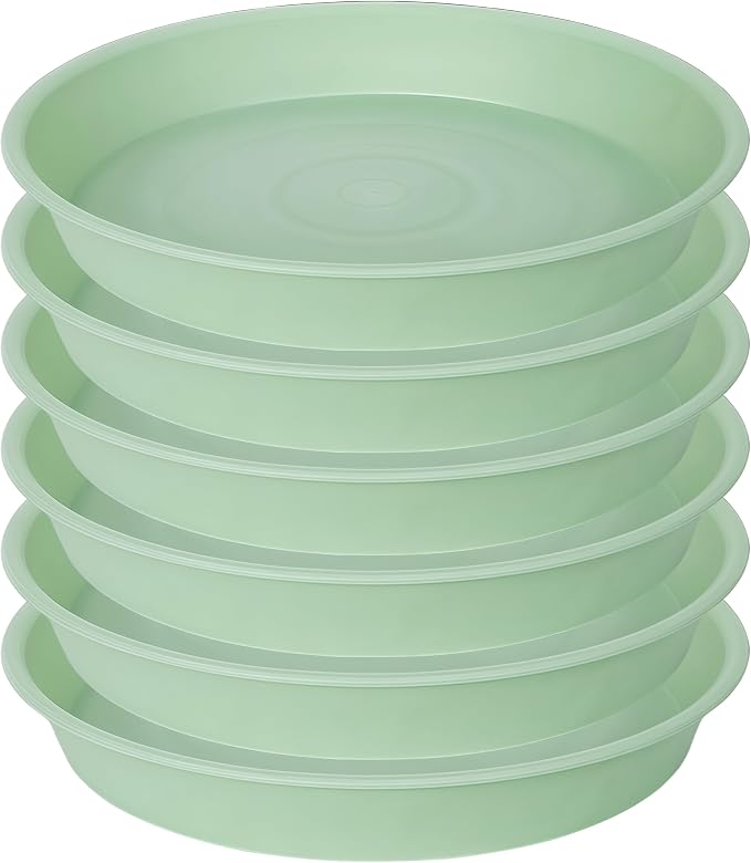 6 Pack of 8 inch Plant Saucer Blue, Plastic Plant Water Tray 8 inch Round by Bleuhome
