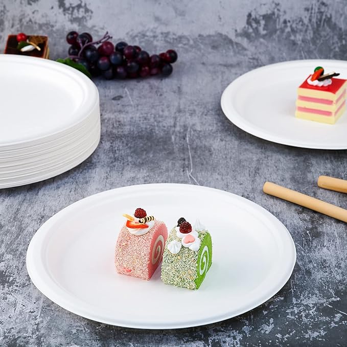 Vplus 500 Pack Compostable Bagasse Paper Plates 10.25 inch, 100% Bagasse - Image 3