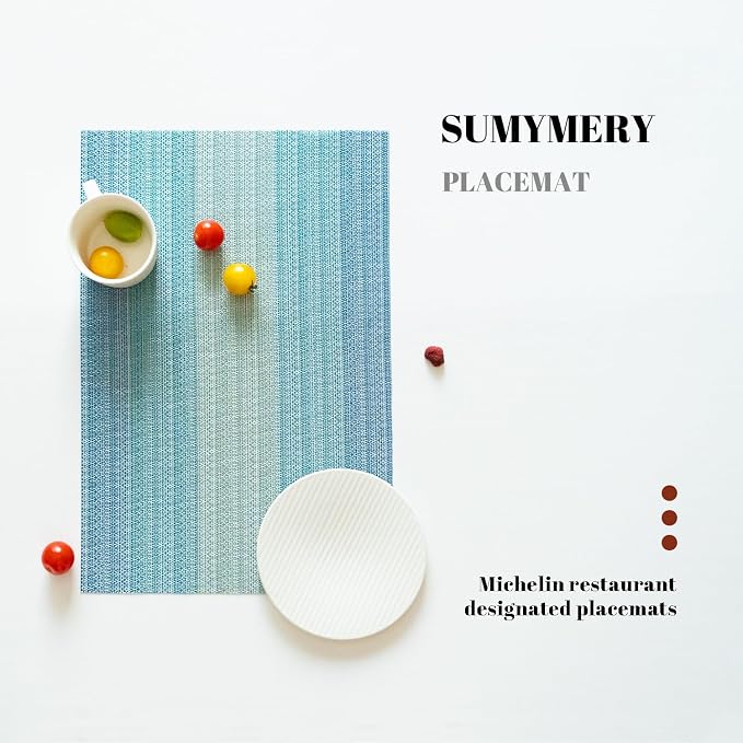 Placemats Set of 12 Vinyl/Plastic Woven Place Mats - Image 5