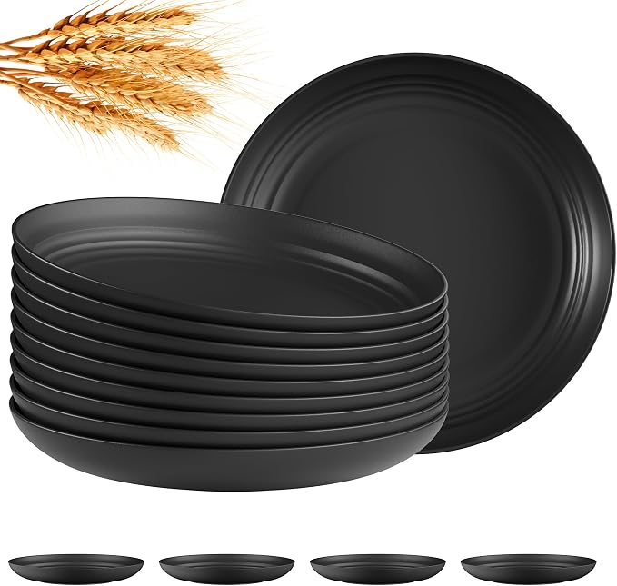 Quatish 10 PCS Unbreakable Reusable Plastic Plates, 8 inch Dishwasher & by Quatish