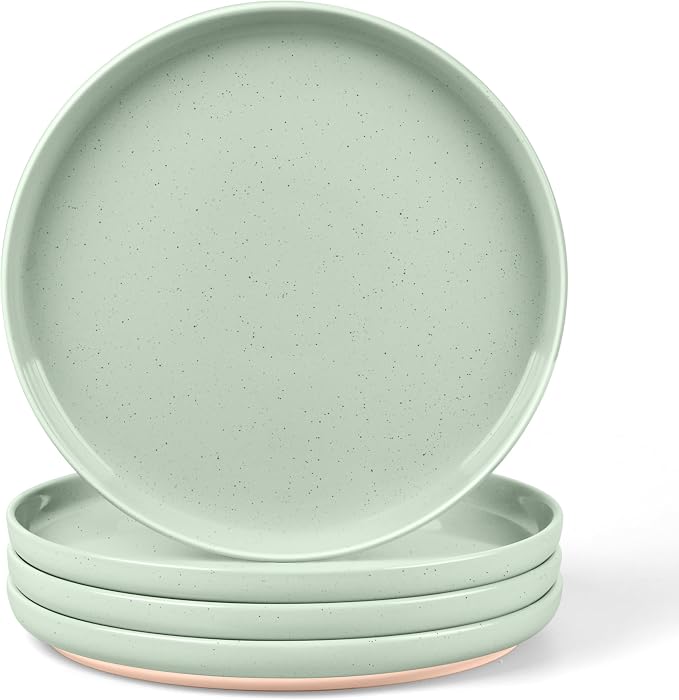 LIANYU Dinner Plates Set of 4, 10.5’’ Large and Round Stoneware Plates by LIANYU