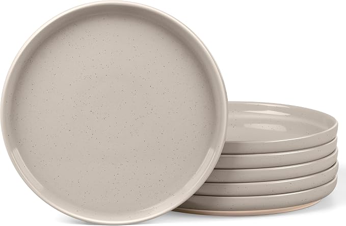 LIANYU 6 PCS Ceramic Dinner Plates Set, 10.5 Inch Round Stoneware Plates by LIANYU