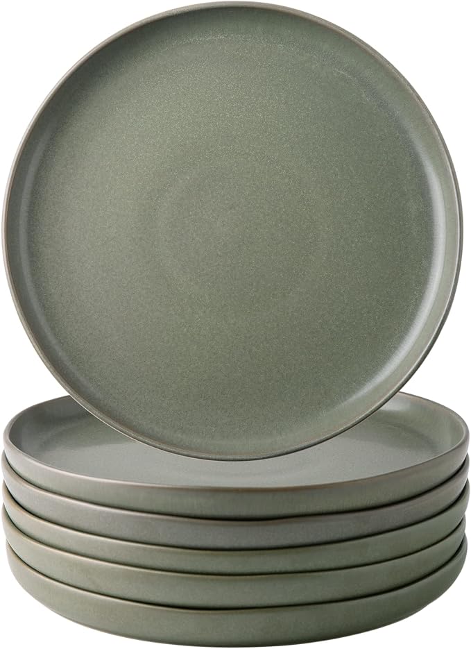 AmorArc Ceramic Dinner Plates Set of 6, 10.25 Inch Stoneware Dishes Set | Wavy by AmorArc