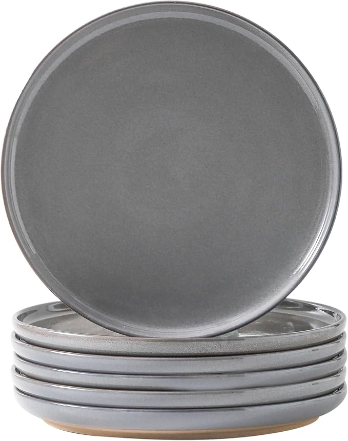 Ceramic Dinner Plates Set of 6, Stoneware 10 Inch, Dishwasher and Oven Safe by Tikooere