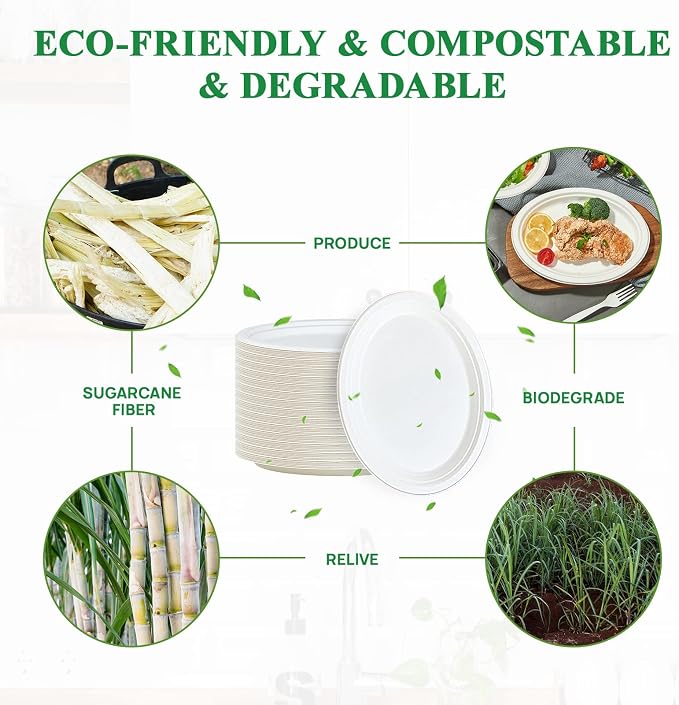Vplus 100% Compostable Oval Paper Plates 12 inch 125 Pack, Disposable Paper - Image 3