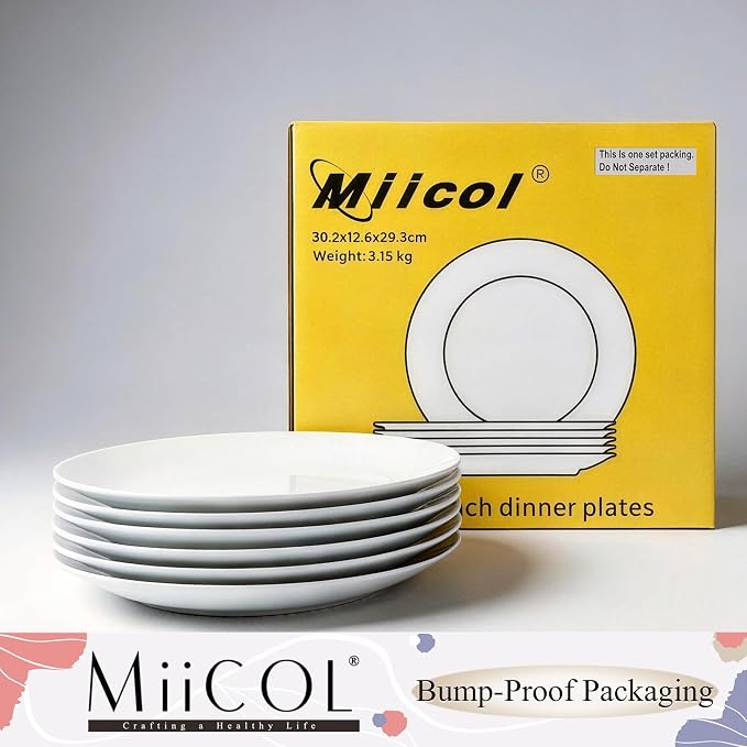 Miicol Ceramic Dinner Plates Set of 6, Modern Round Porcelain Dishes - Image 9