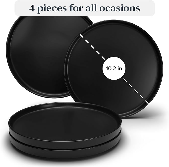 Stoneware Dinner Plates Set - Image 3